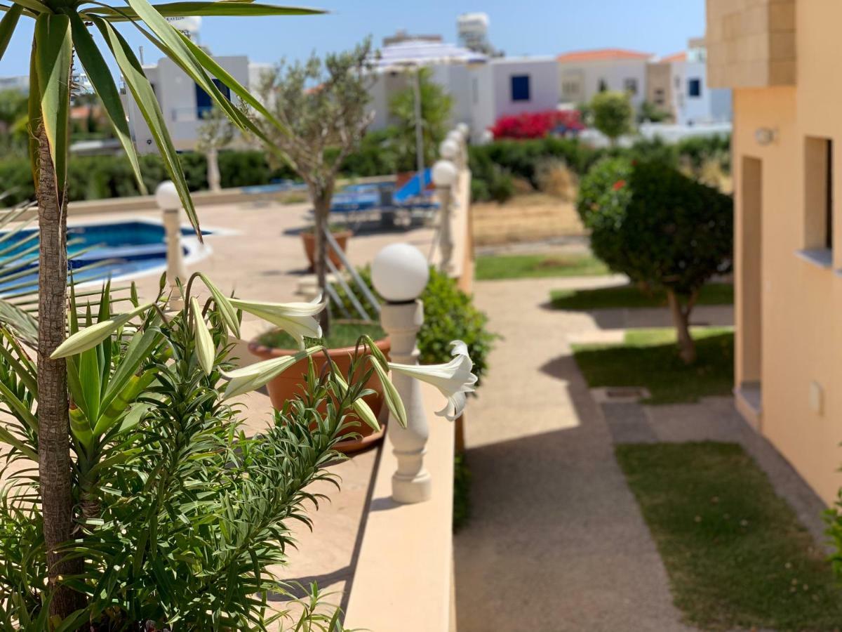 Dimma Seaside Houses Paphos Exterior photo